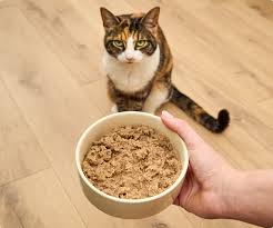 Cat Food