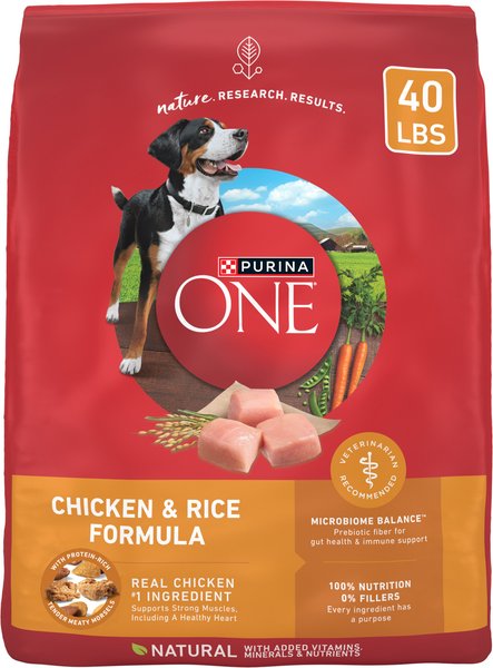 Purina ONE Natural Adult Chicken & Rice Formula Dry Dog Food - 8 lb